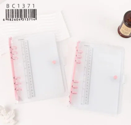 CARPETA MUESTRARIO CON REGLA